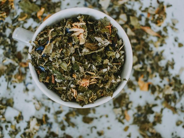 Selection of natural dry herbs and tea on a dark table